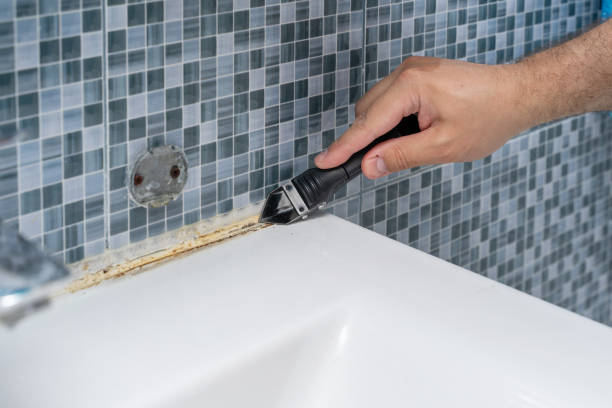 Best Commercial Mold Remediation in Sunnyvale, CA
